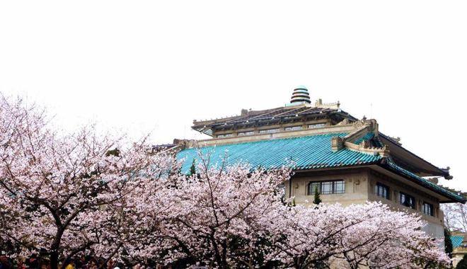 黄鹤楼、湖北省博物馆春假爆款武汉名校夏令营开启报名开元棋牌狮子精品夏令营 探访武汉大学、华中科大参观(图5)