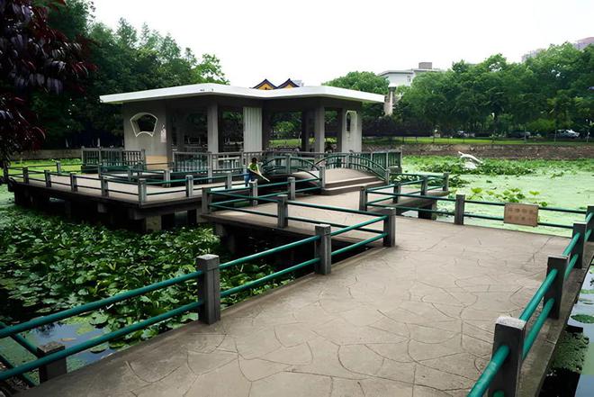 黄鹤楼、湖北省博物馆春假爆款武汉名校夏令营开启报名开元棋牌狮子精品夏令营 探访武汉大学、华中科大参观(图34)