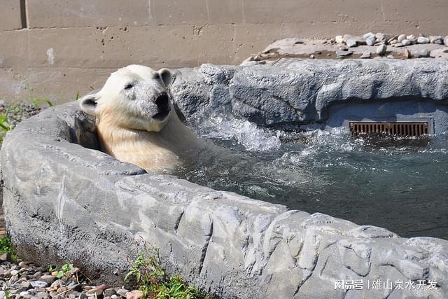 旅：从冰川湖泊到极限探险的极致体验开元棋牌新西兰南岛自然奇迹与冒险之(图2)