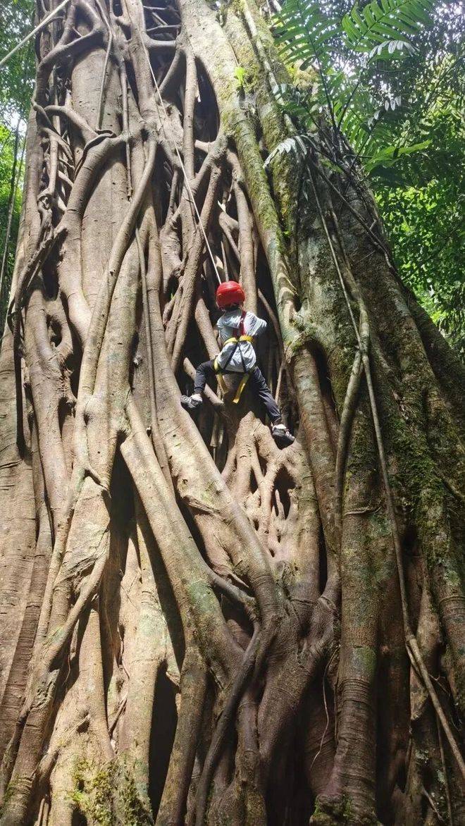 6云南正规十强旅行社纯玩避坑指南请查收ky开元棋牌云南旅行社红黑榜｜202(图3)